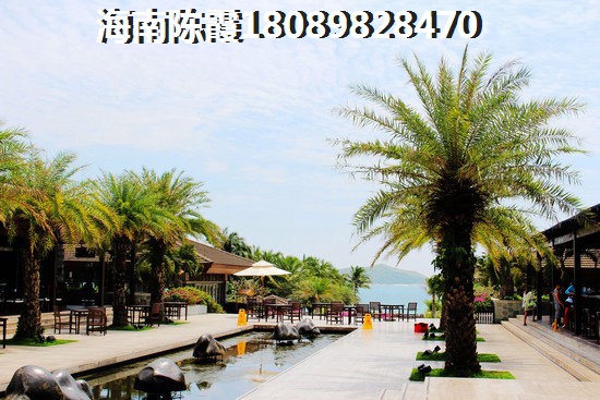 雄飞海韵名都价格2022是涨还是跌？